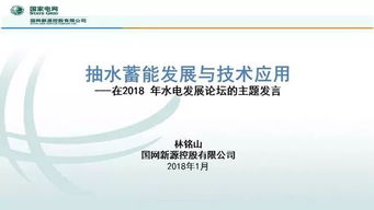 抽水蓄能發(fā)展及技術(shù)創(chuàng)新——基于國(guó)網(wǎng)新源林銘山專家報(bào)告的解讀